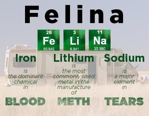 Felina-Breaking-Bad.jpg