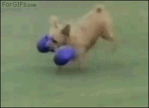 e074XsR.gif