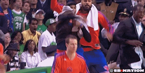 KNICKScop.gif