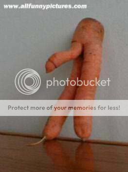 carrot.jpg