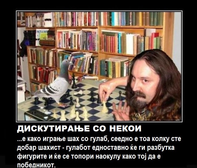 17363730186_70e4e813c6_z.jpg