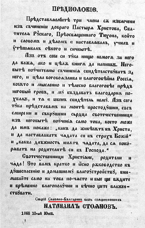 nzografski13.jpg