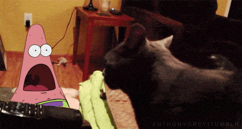 daily_gifdump_398_15.gif