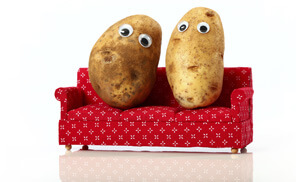 Couch_Potato_Portfolio2_296.jpg