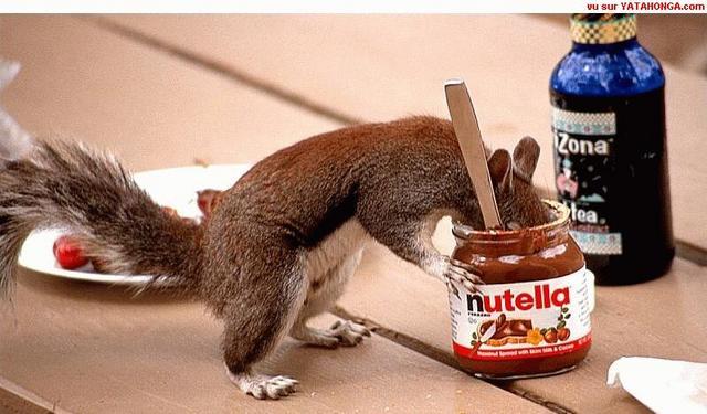 tumblr_m5b46llFLZ1rxrhv4o1_1280.jpg