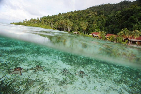 raja-ampat-12.jpg