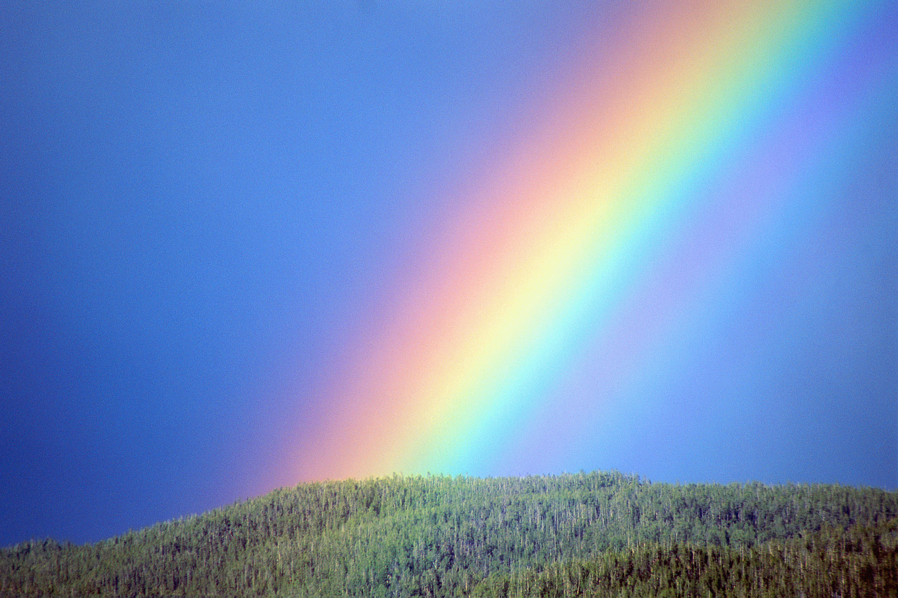 rainbow.jpg
