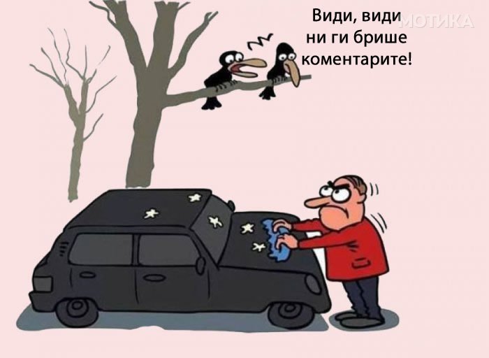 strip-9.jpg