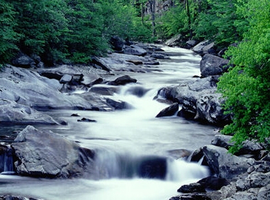 LittleRiver.jpg