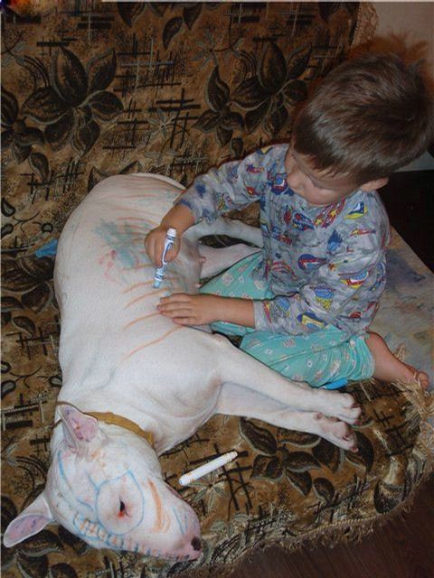 baby-37.jpg
