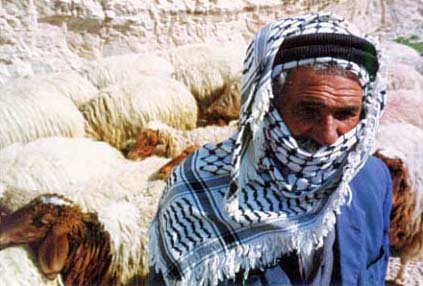 bedouin_man_judean_desert.jpg