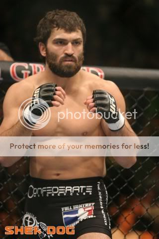 AndreiArlovski.jpg