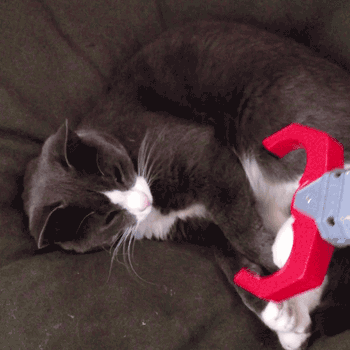 daily_gifdump_365_13.gif