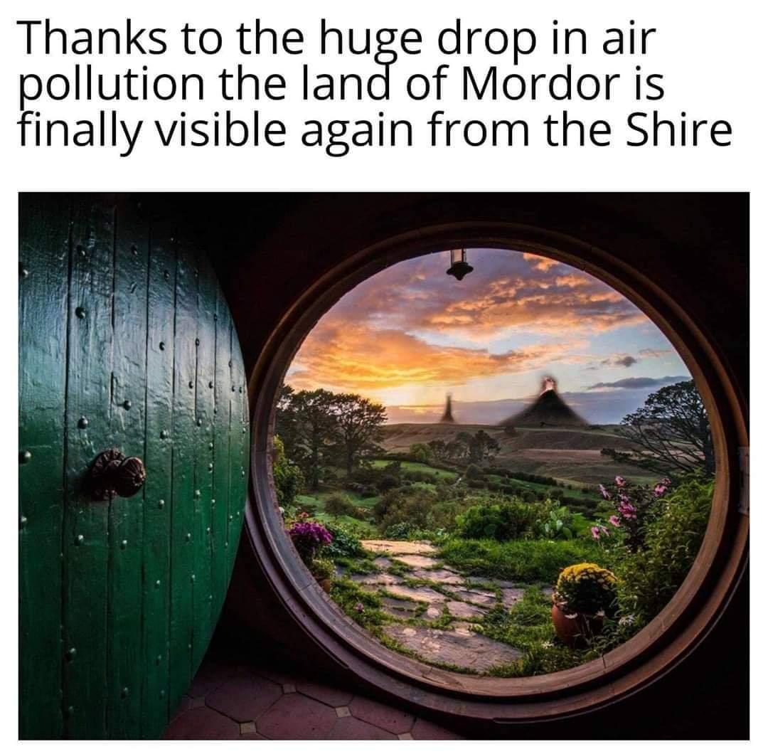 86244337.jpg