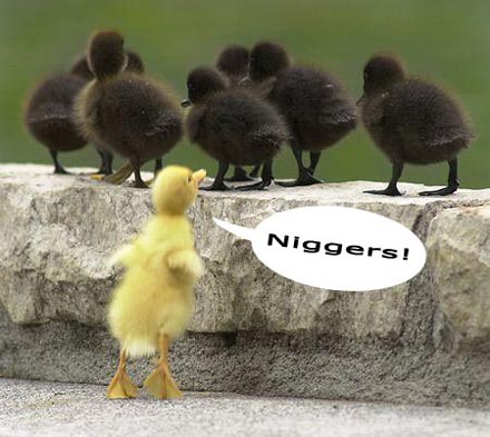 racism2.jpg