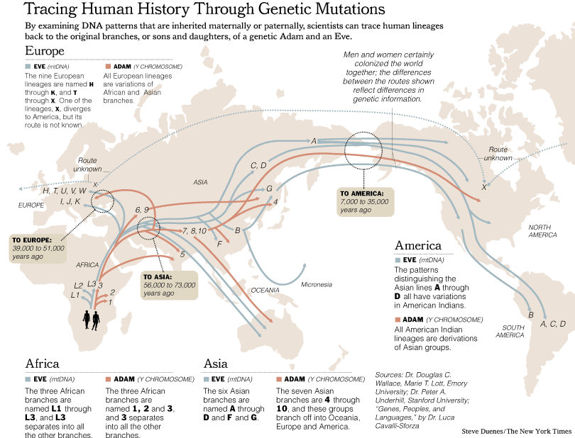 Human%20Gene%20Migrations.gif