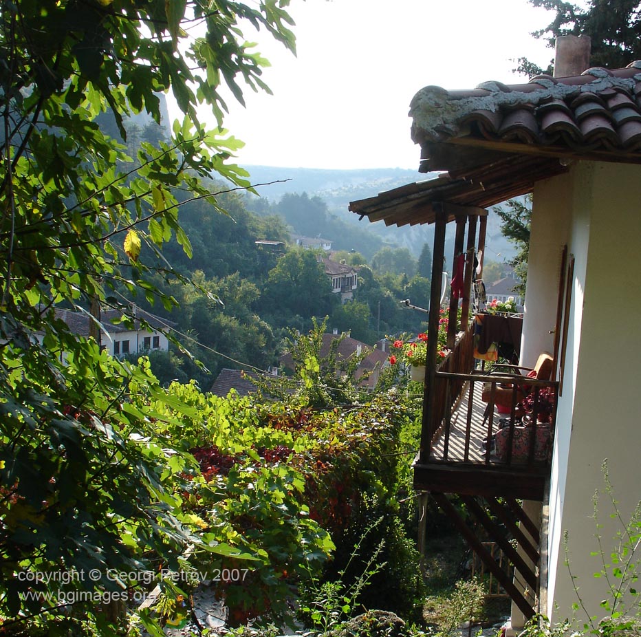 melnik11.jpg