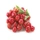 glycemic-index.net