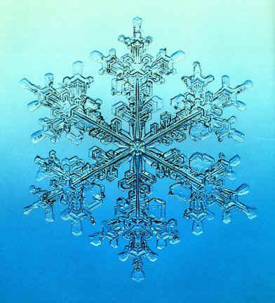 snow3.jpg