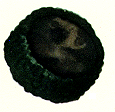cap45-6.gif