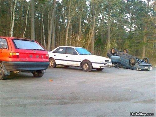 what_doesnt_belong-img-1198.jpg