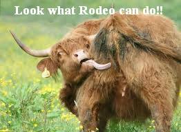 rodeo.jpg
