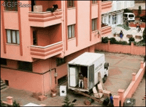 12.gif