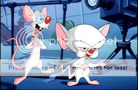 pinky_and_the_brain.jpg