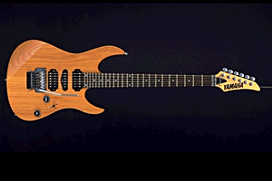 RGX421D.gif