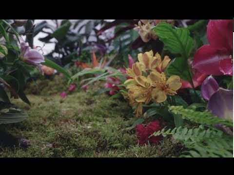 www.youtube.com