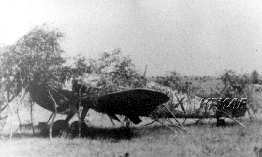 30-1b.jpg