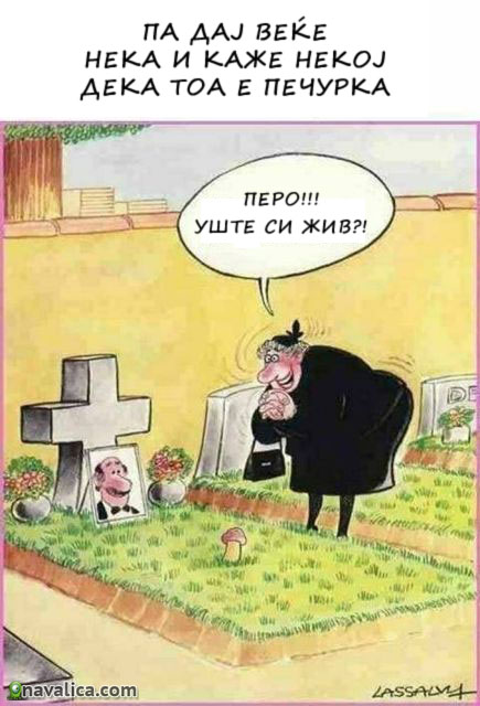 pero2.jpg