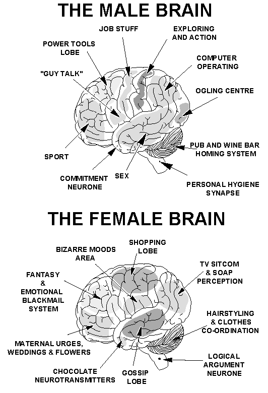 brain.gif