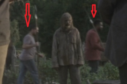 TWD2.jpg
