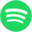 spotifydown.com