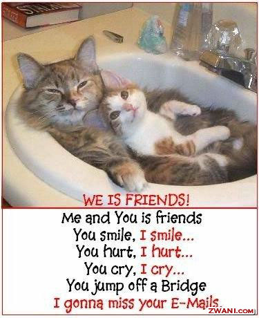 funny-pictures297.jpg