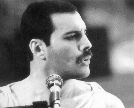 freddie-bw.jpg