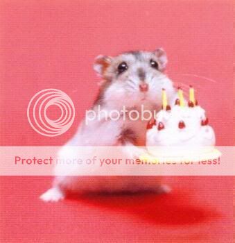 birthday.jpg