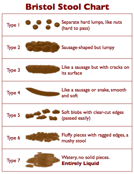 how-to-describe-poo.png