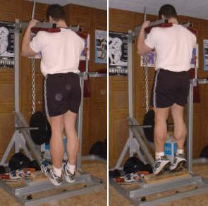 standcalf.jpg
