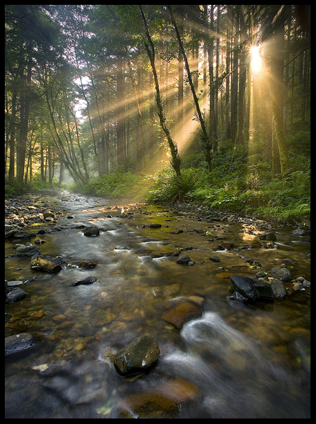Radiance_by_MarcAdamus.jpg