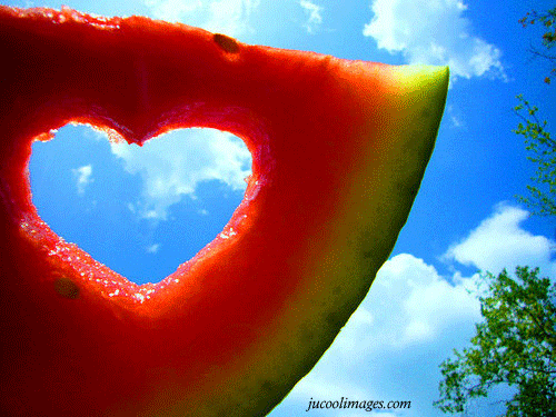 summer_love_05.gif