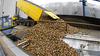 agri.mk