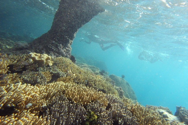 raja-ampat-05.jpg