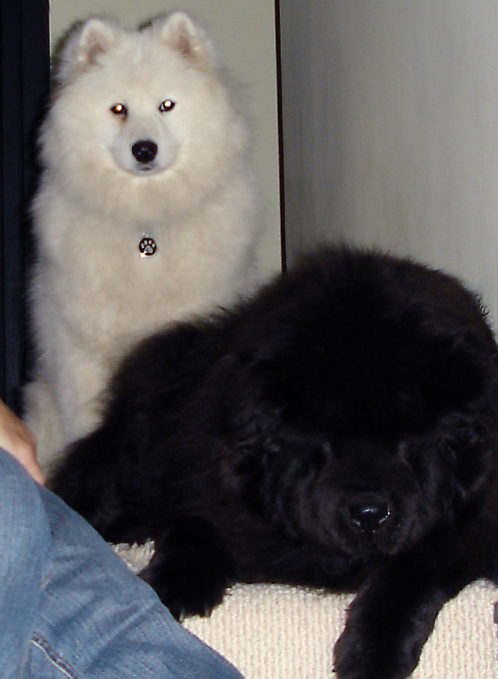 dsc00146copyedited.jpg