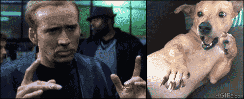 1bc.gif