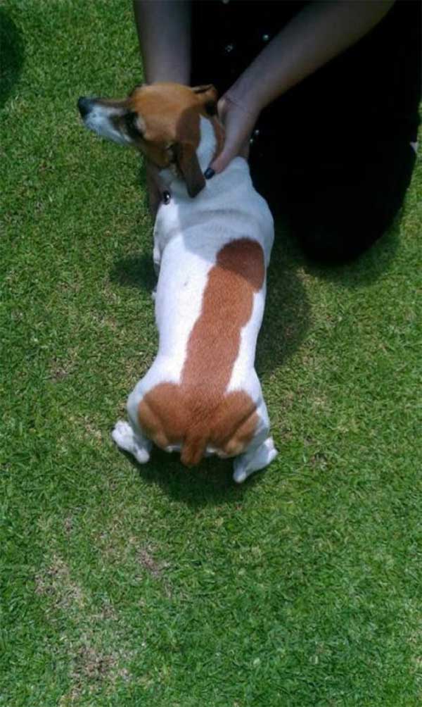markings-30.jpg