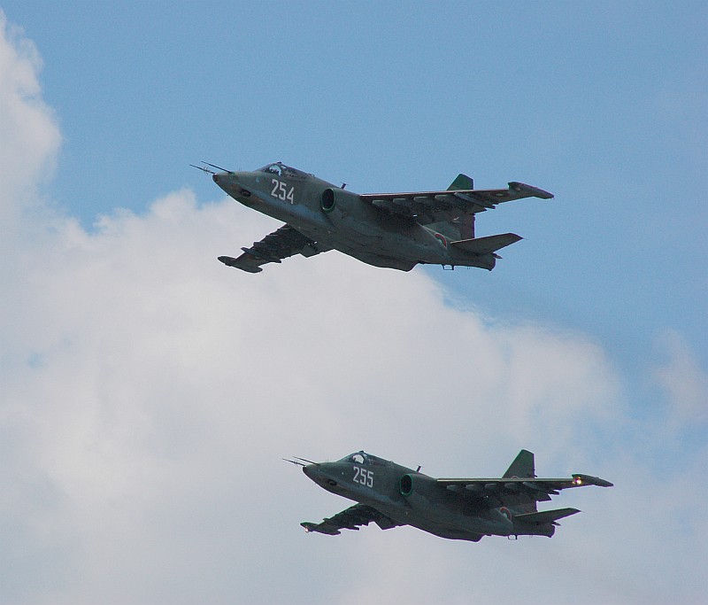 DSC_4182.jpg