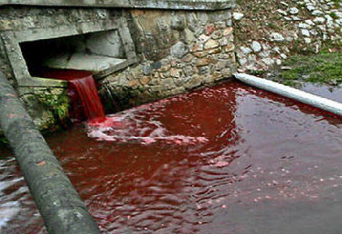 krvavi-reki-09.jpg