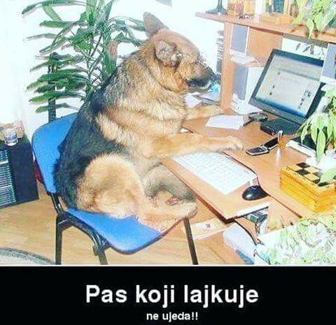 pas.jpg
